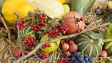 Erntedank-Gaben Erntedank-Gaben