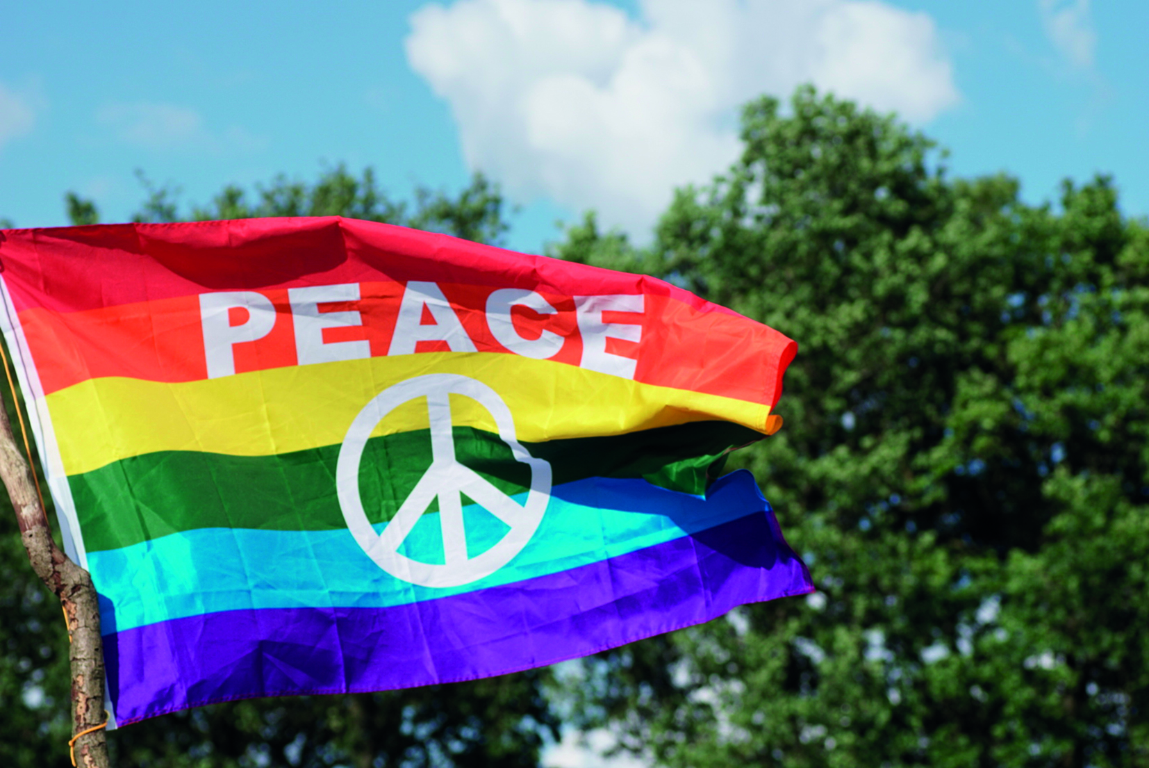 Women’s Voices for Peace – FrauenStimmen für Frieden