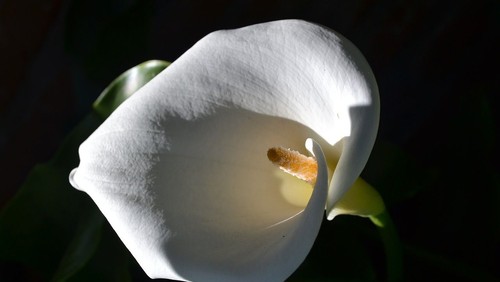 Ewigkeitssonntag mit der Kantorei in Iserbrook