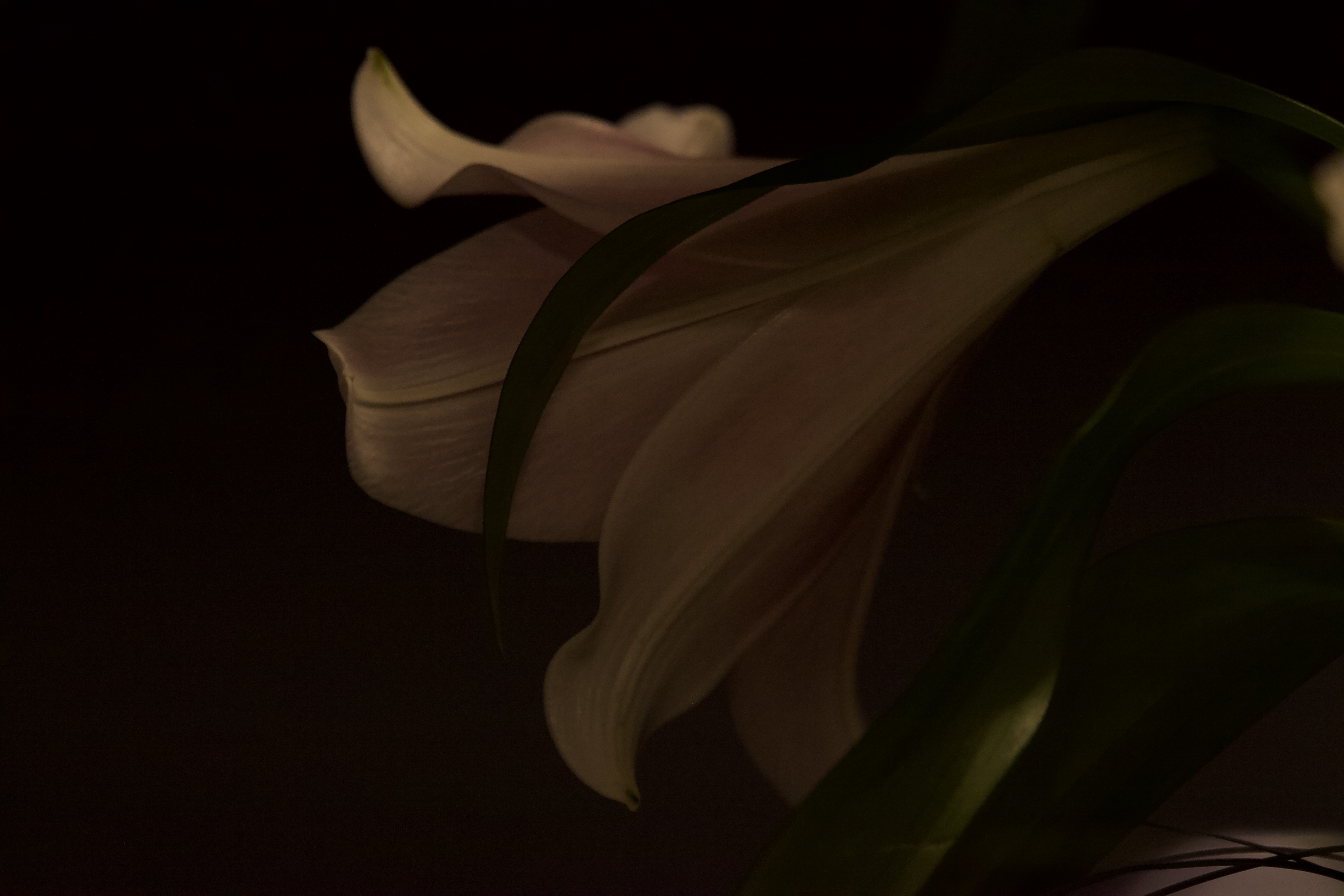 Andacht in der Kapelle Friedhof Holstenkamp