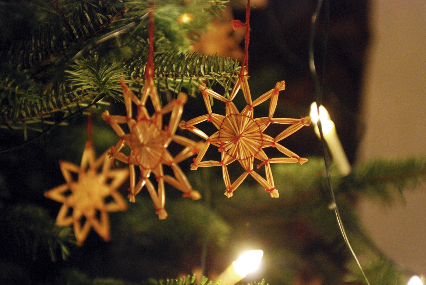 Predigtgottesdienst am 1. Weihnachtsfeiertag