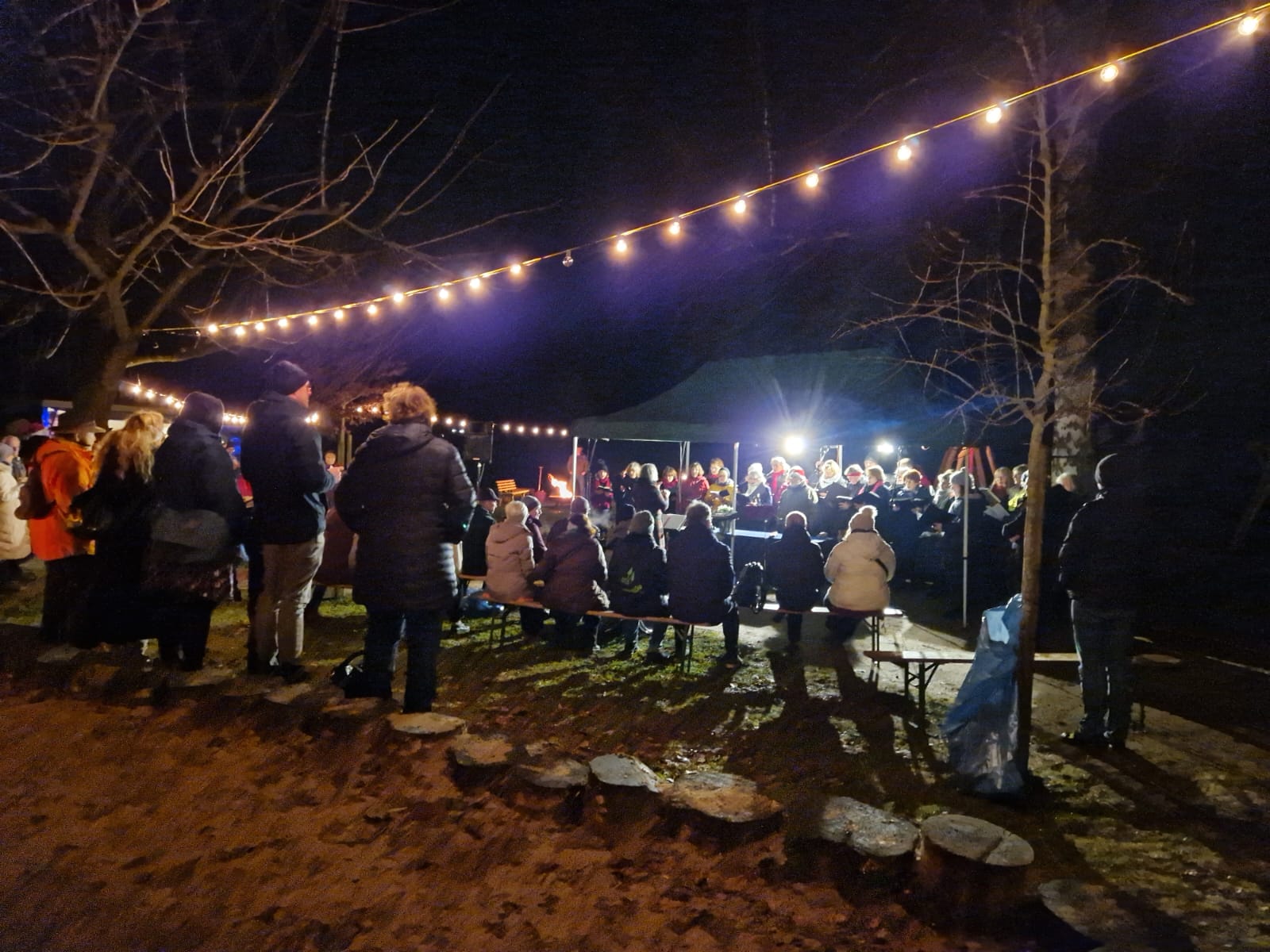 Waldweihnacht im Ossenmoorpark