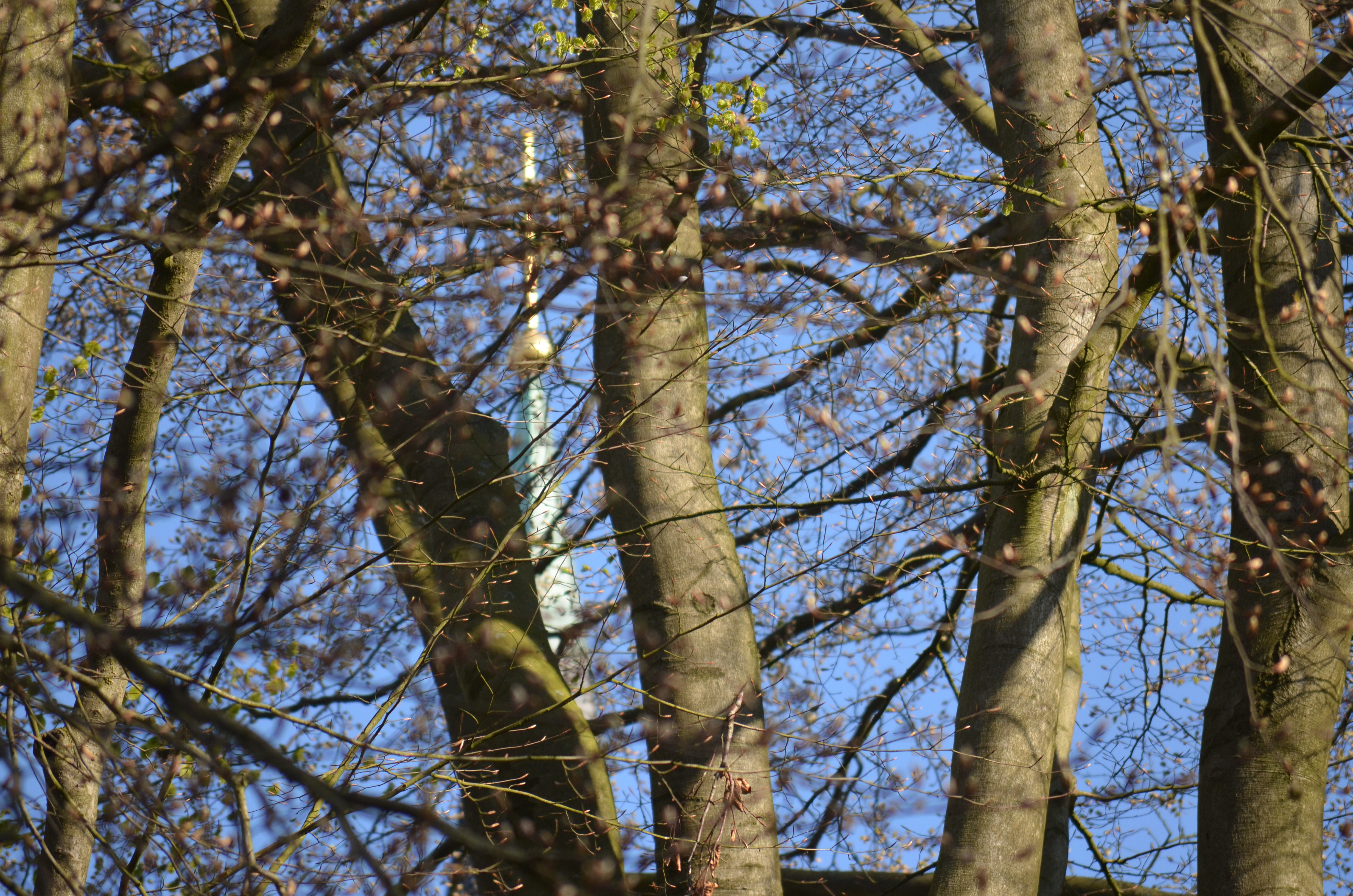 Silvester/Altjahrsabend Gottesdienst mit Pastor i.R. Gunnar Urbach