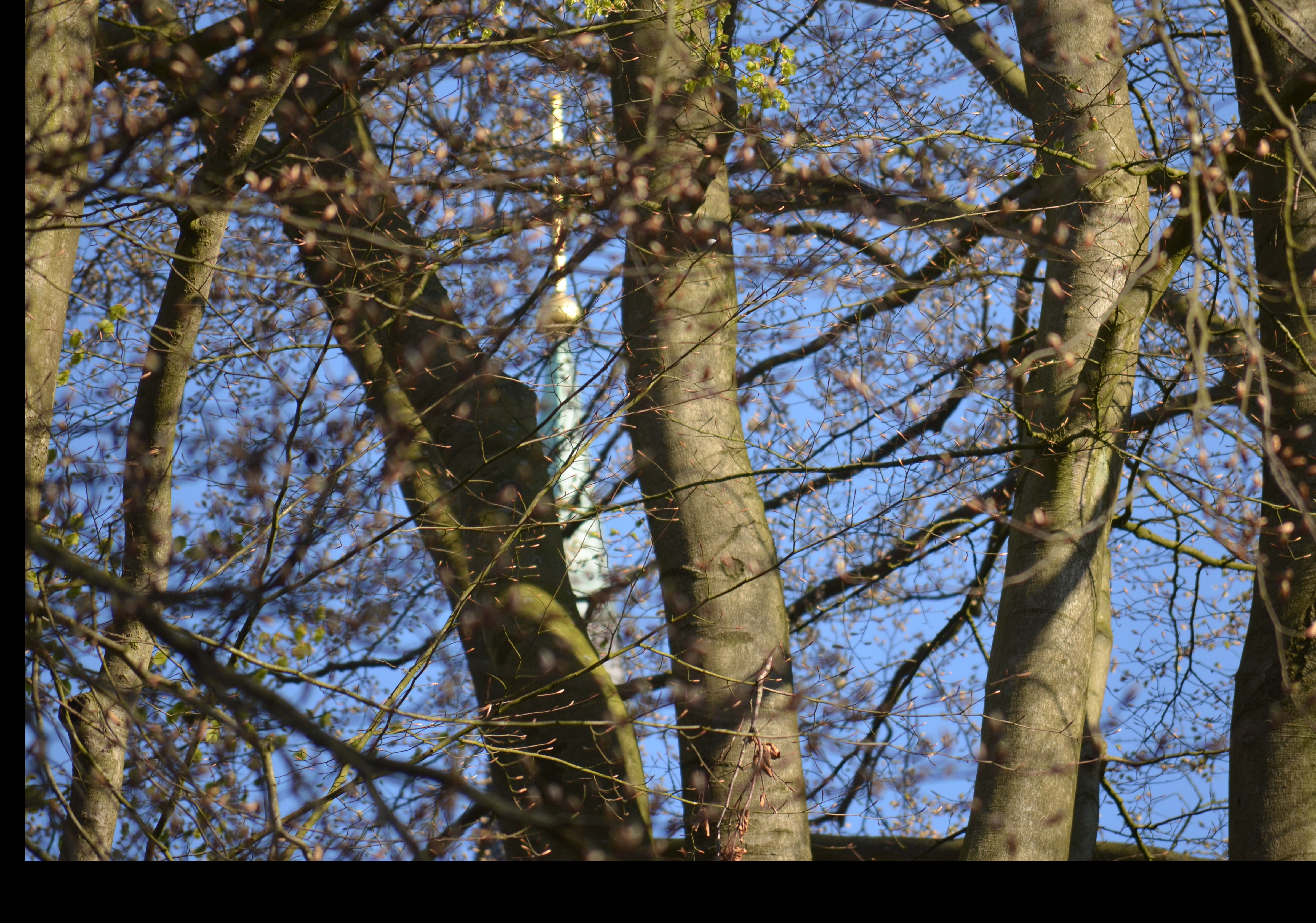 Silvester - Sekt & Segen um Mitternacht