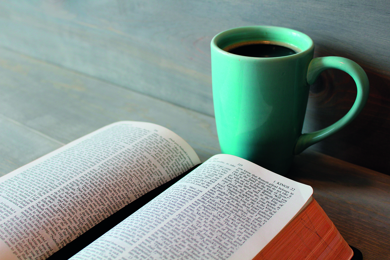 Bibel feministisch gelesen - Online-Bibelwerkstatt