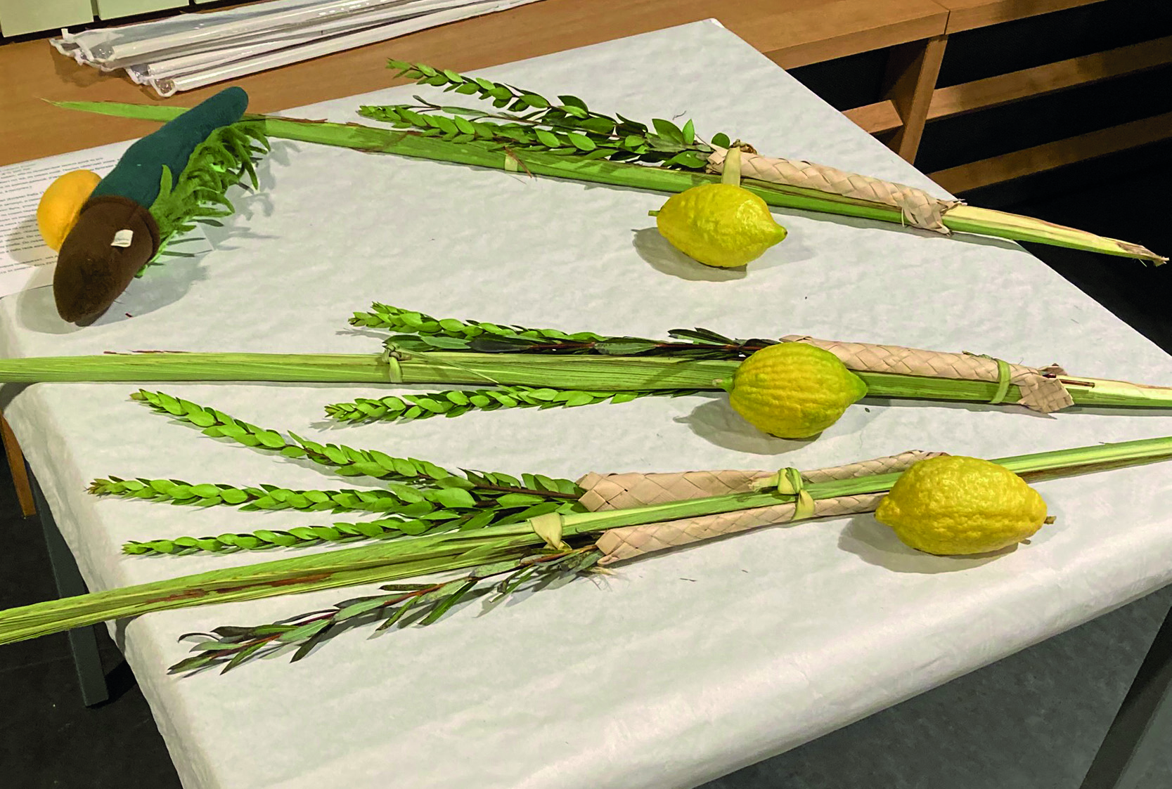 Reformjudentum in Hamburg