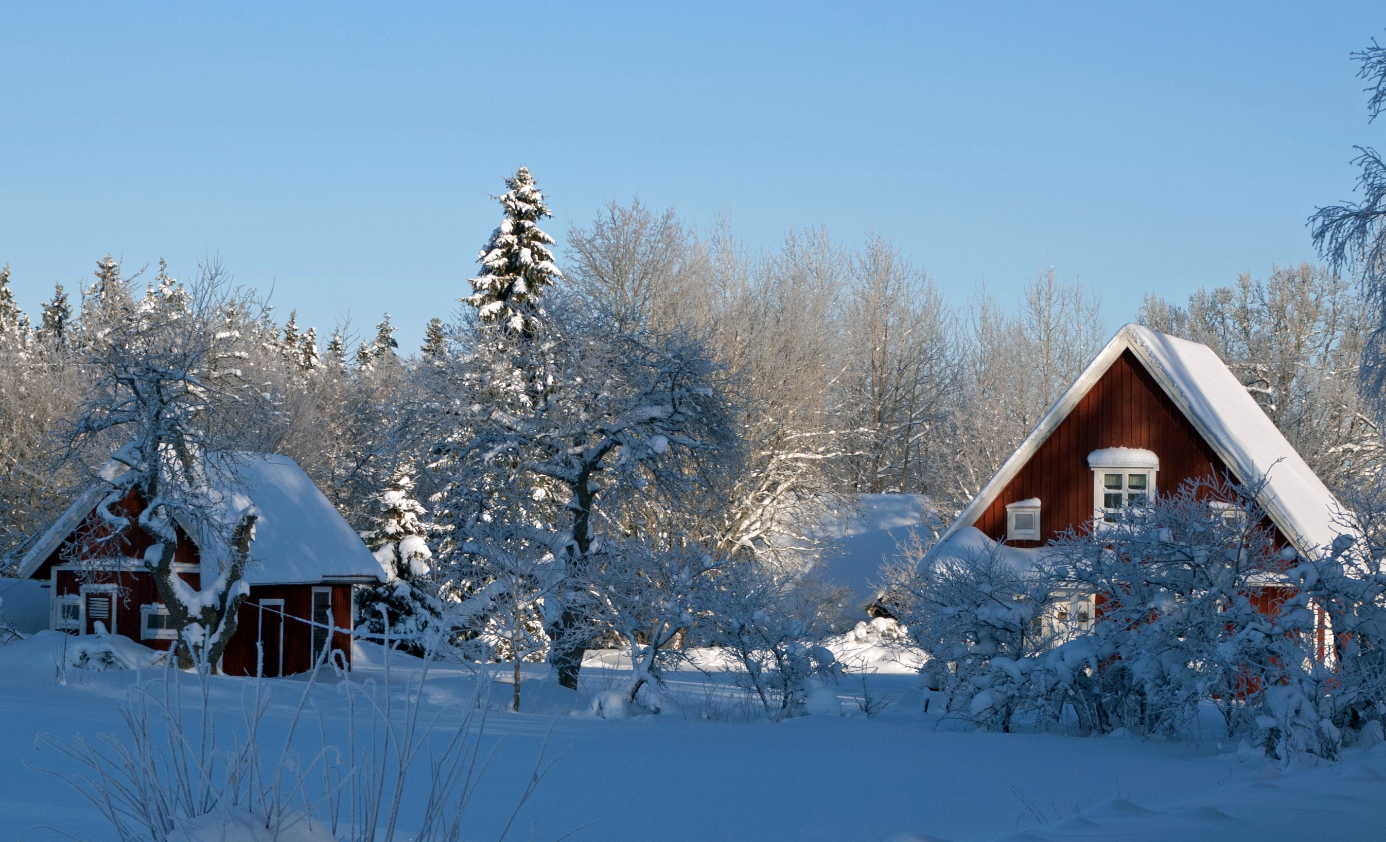 3. Sonntag nach Epiphanias