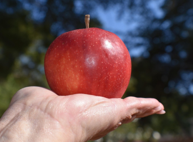 Paradising – Ist das Paradies mehr als ein Werbespruch?