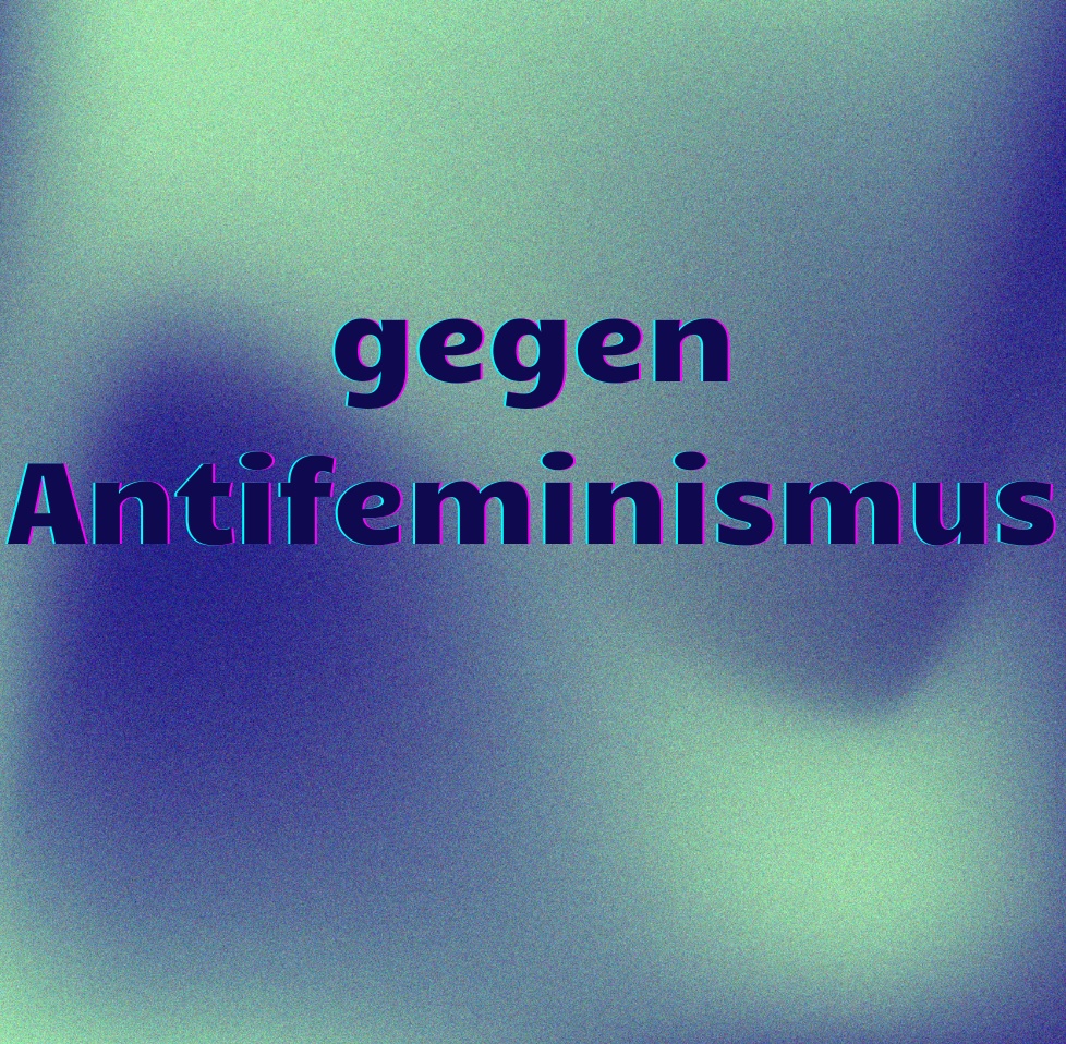 Hate Speech: Was tun gegen Antifeminismus