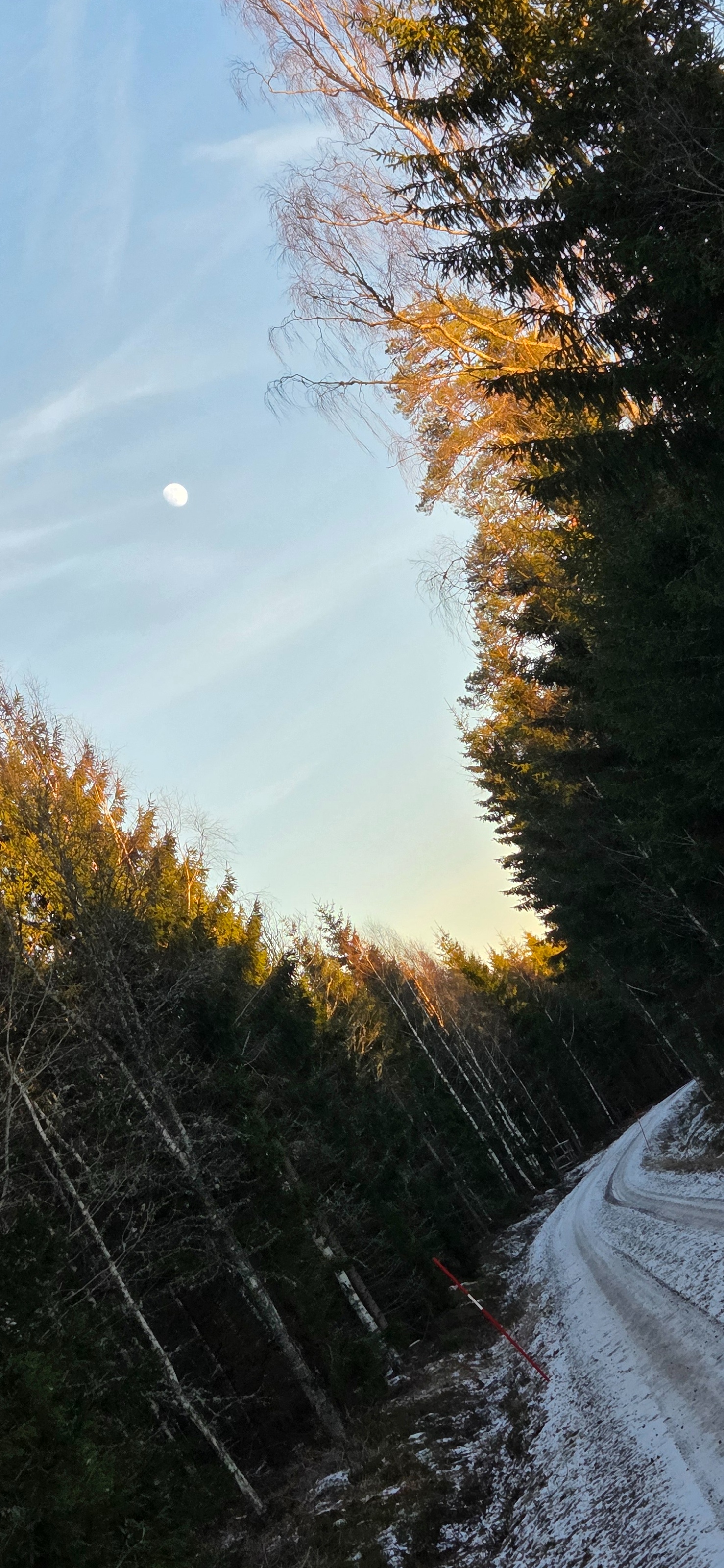 Letzter Sonntag nach Epihanias