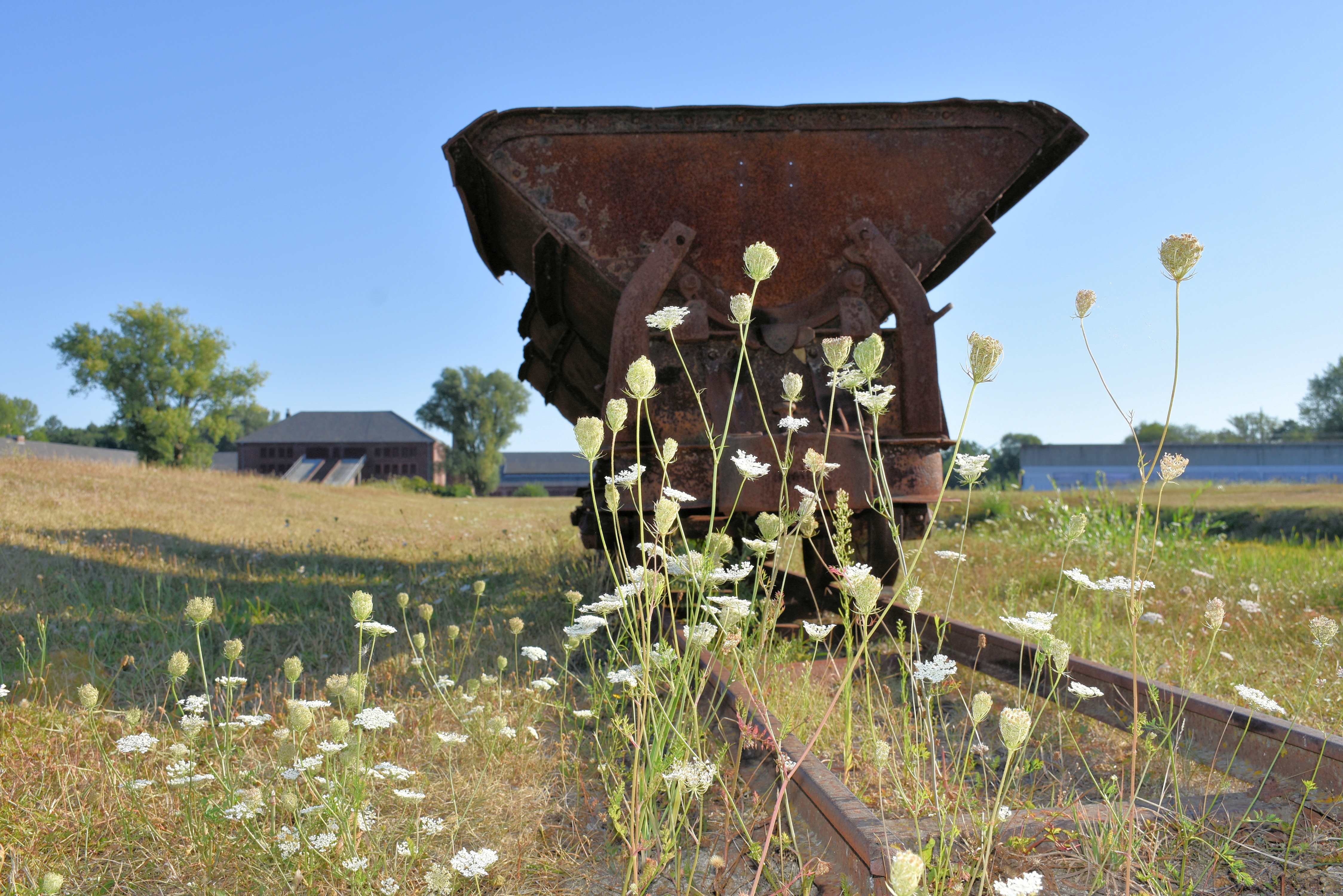 Nie wieder Krieg? Friedensgottesdienst in der KZ-Gedenkstätte
