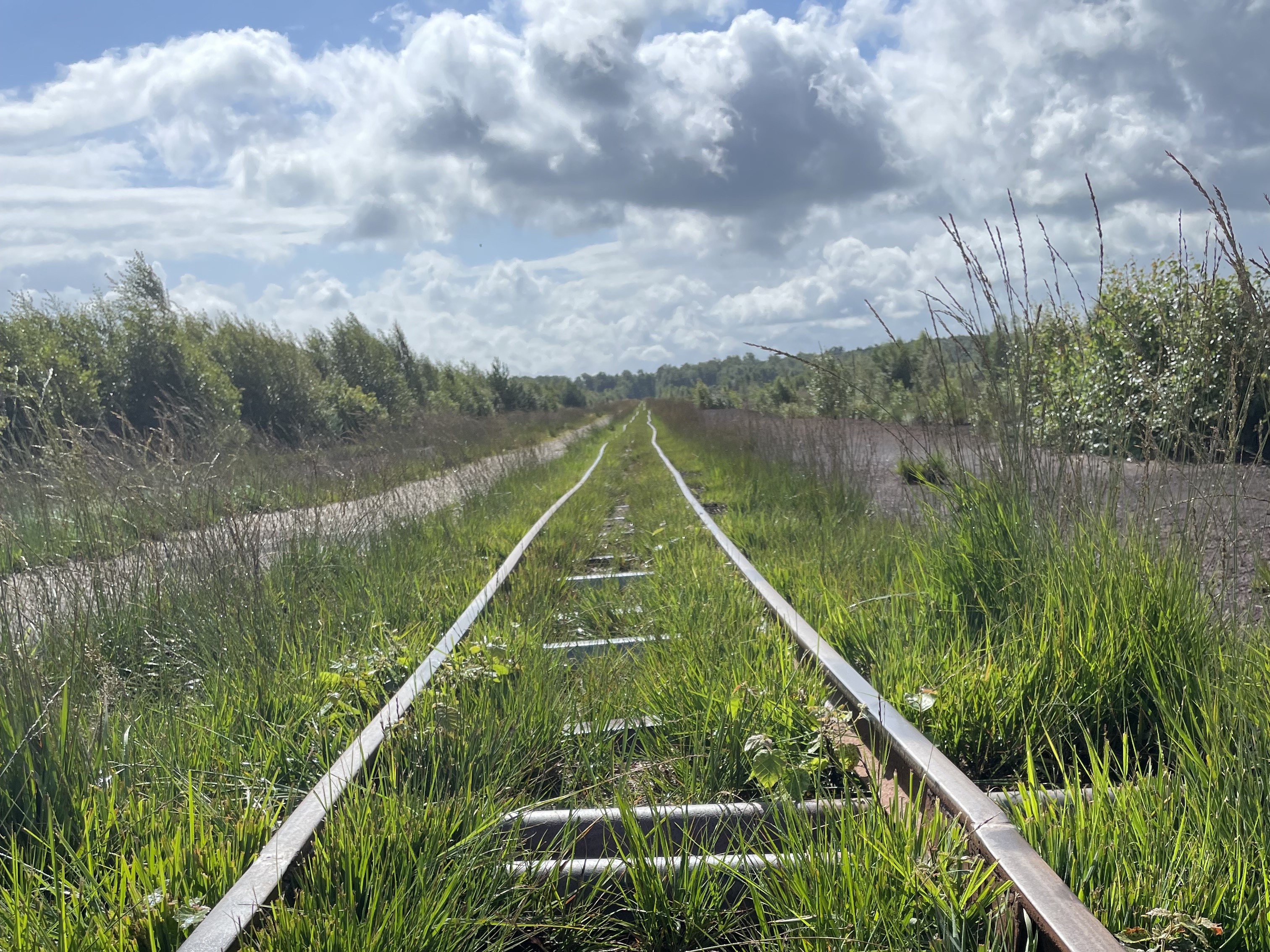 Fest-Gottesdienst Förderverein Himmelmoor