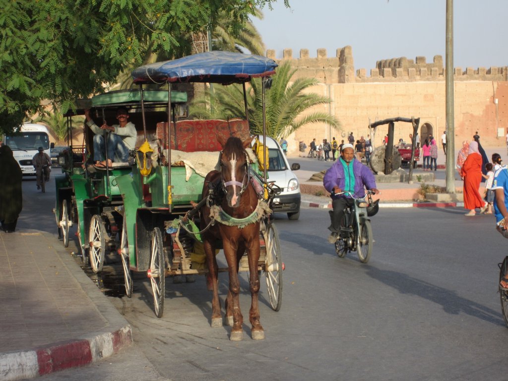 KuK - Im Süden Marokkos - durch den Antiatlas in die Wüste