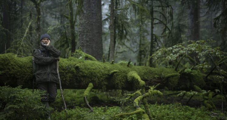 Das Flüstern der Wälder – Letzter Film in der Reihe