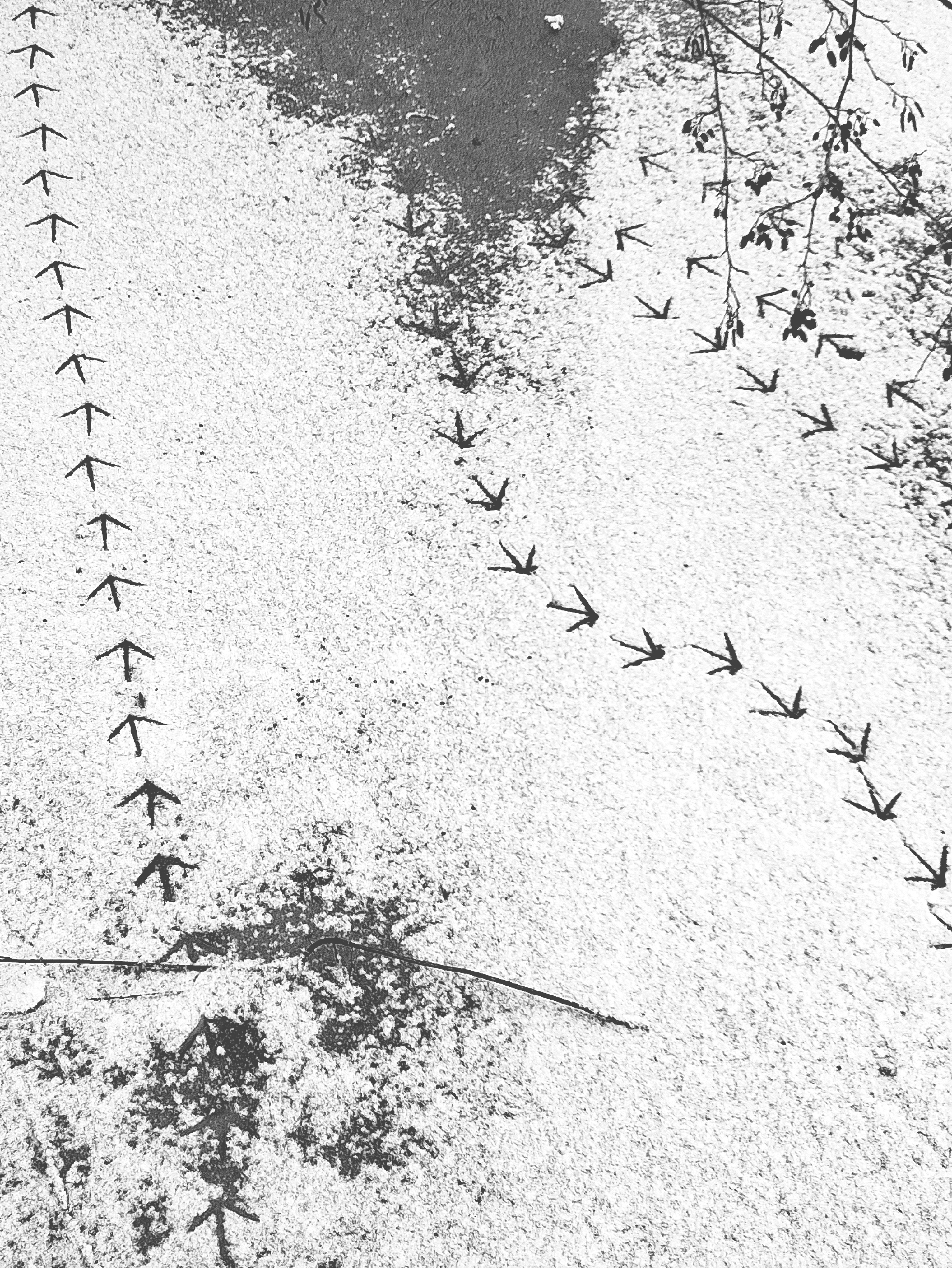 Lange Welle - Vier MusikerInnen wagen sich in die Stille