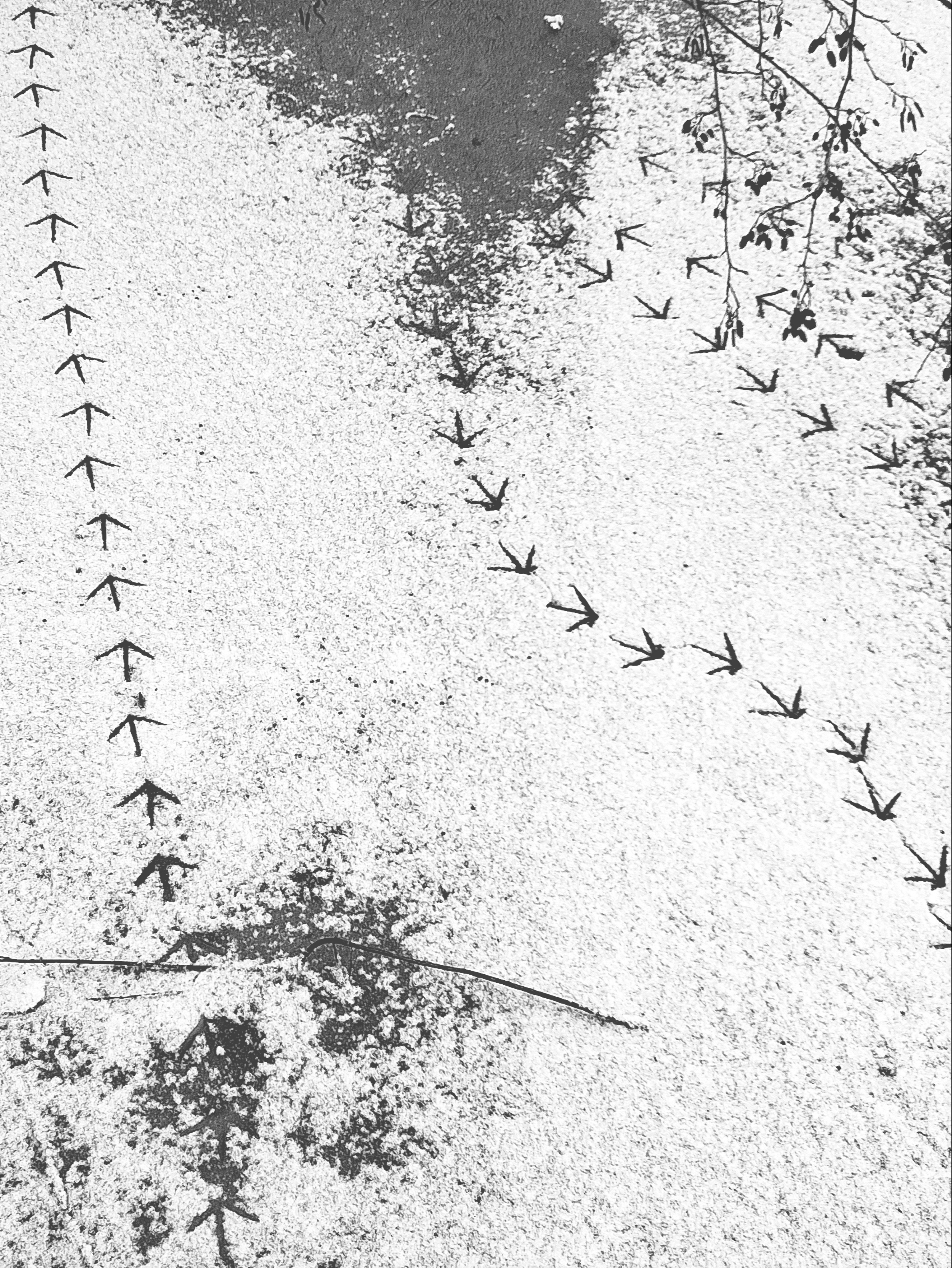 Lange Weile - Vier MusikerInnen wagen sich in die Stille