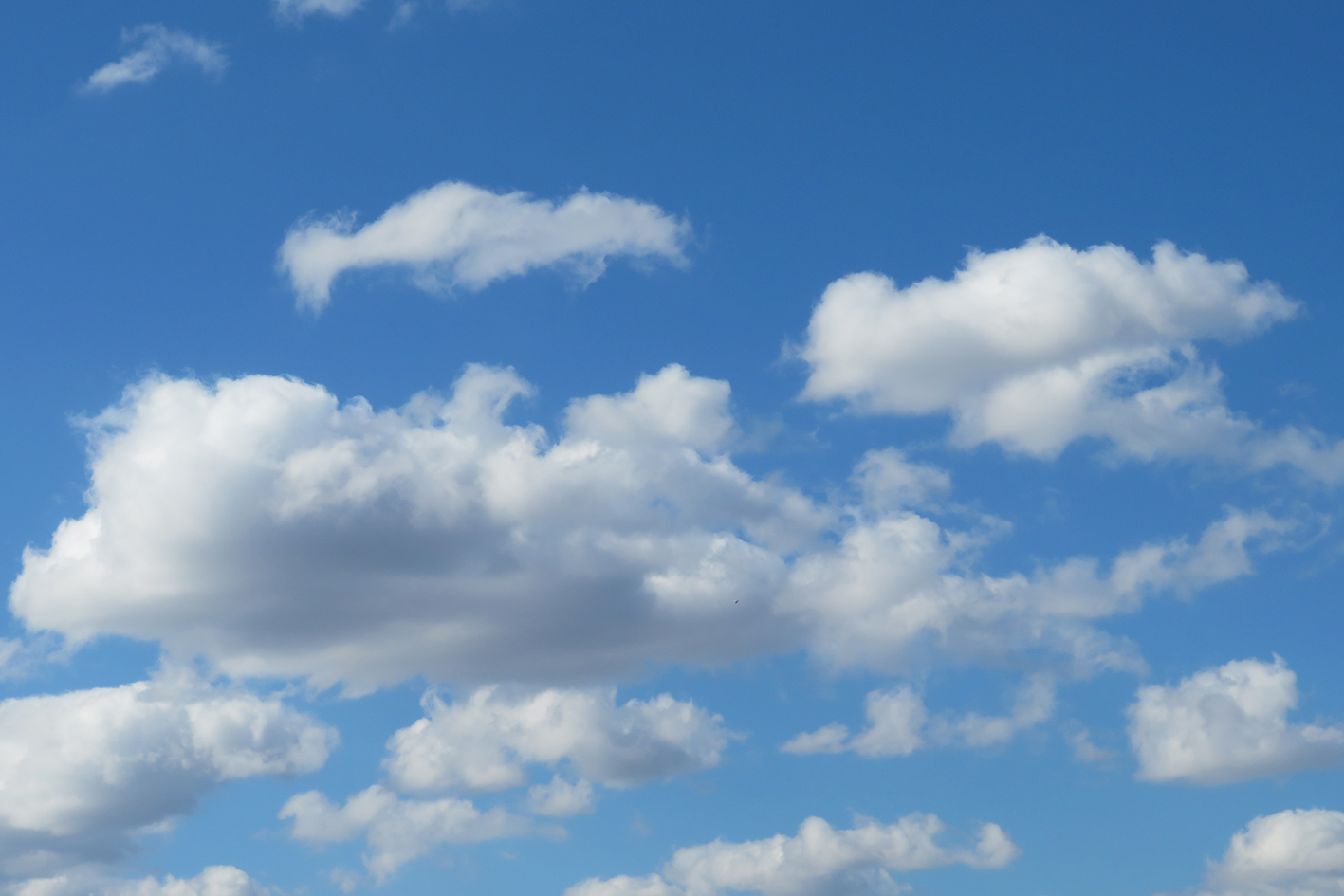 14. Sonntag nach Trinitatis, Festgottesdienst