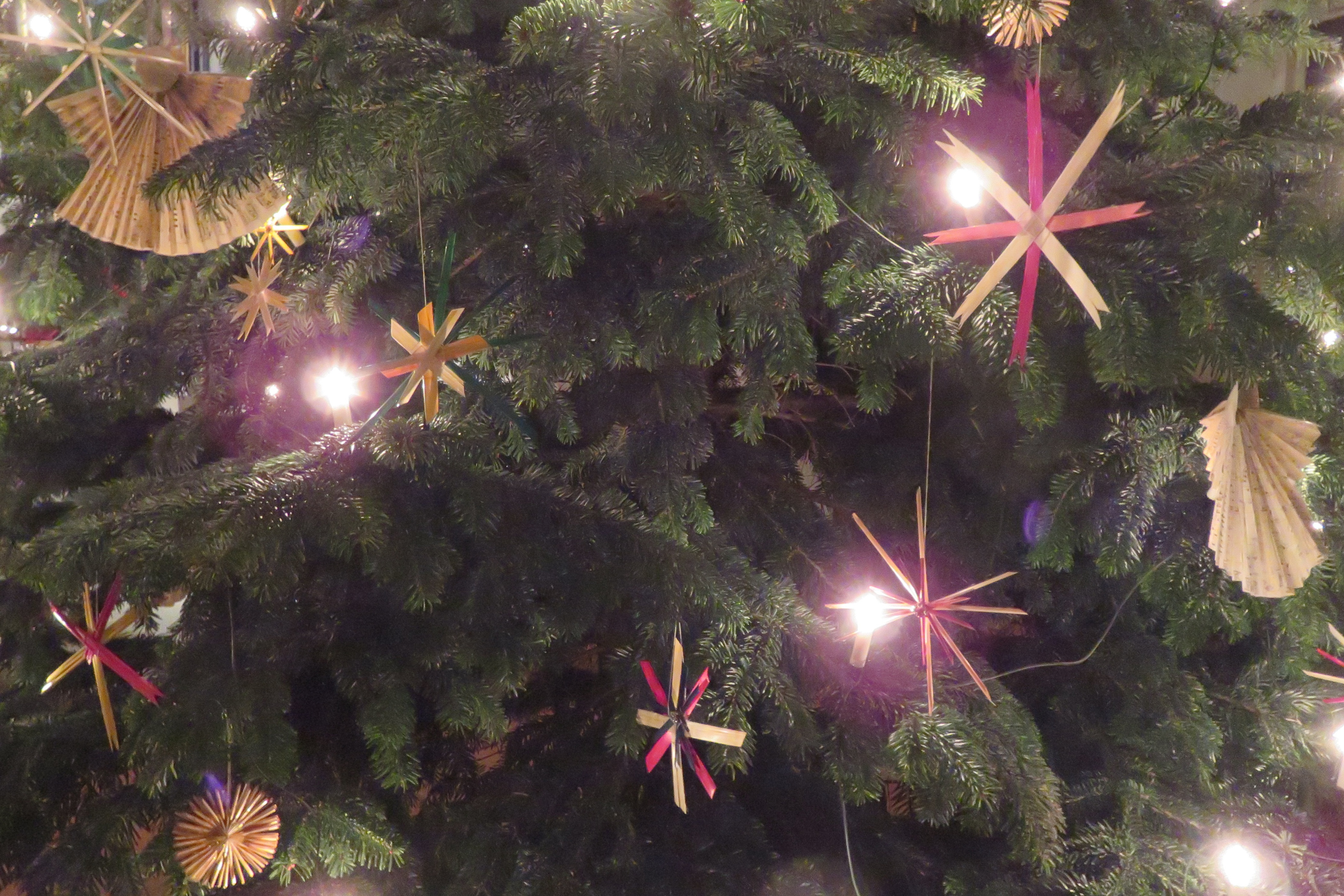 Christfest - 1. Weihnachtstag