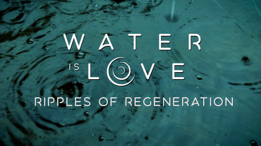 Wasser ist Leben (2) – Ein Filmabend im Rahmen von weltwechsel