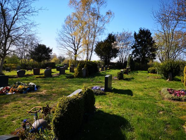 Friedhof Bargfeld