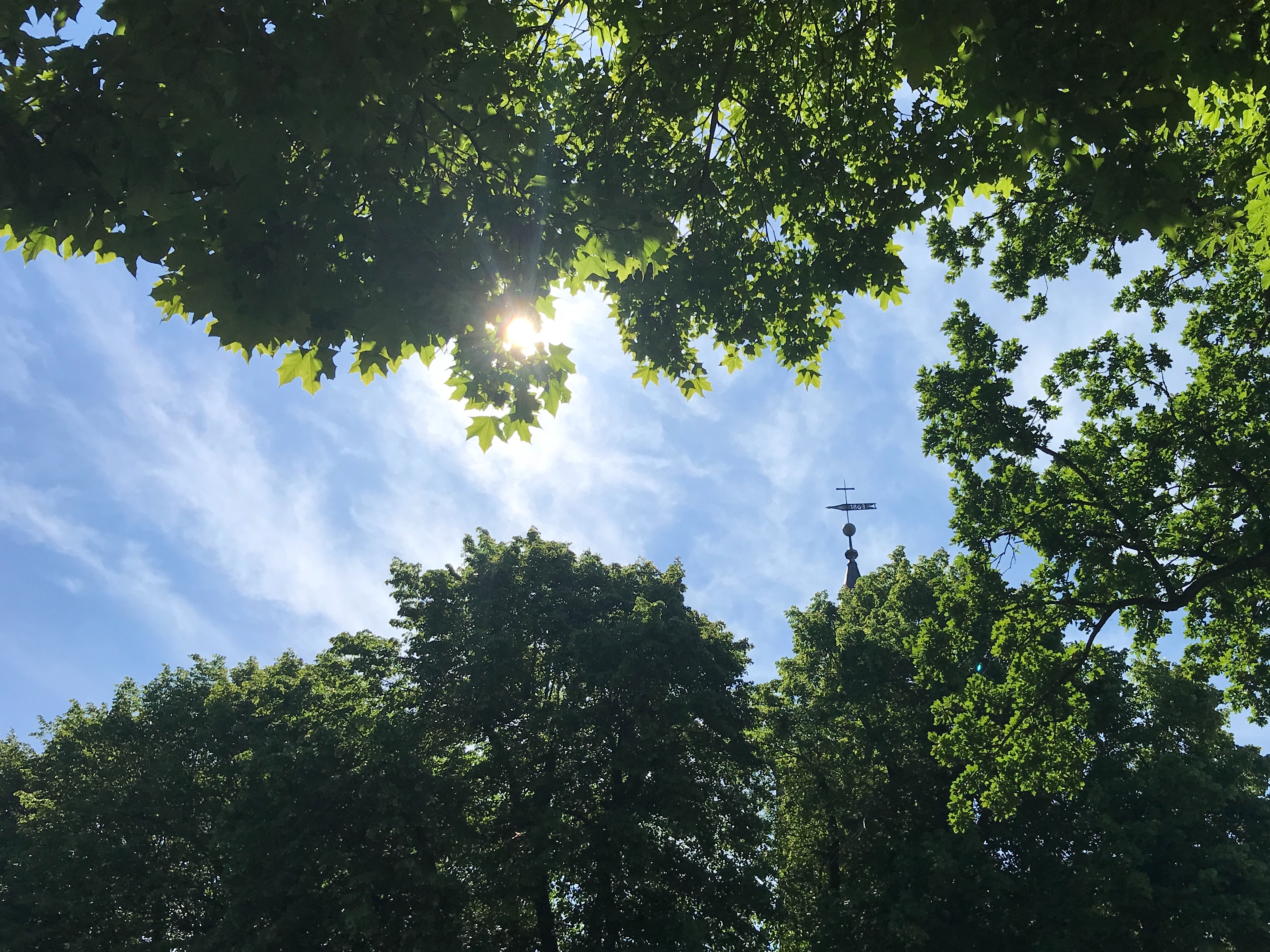 Sommergottesdienst