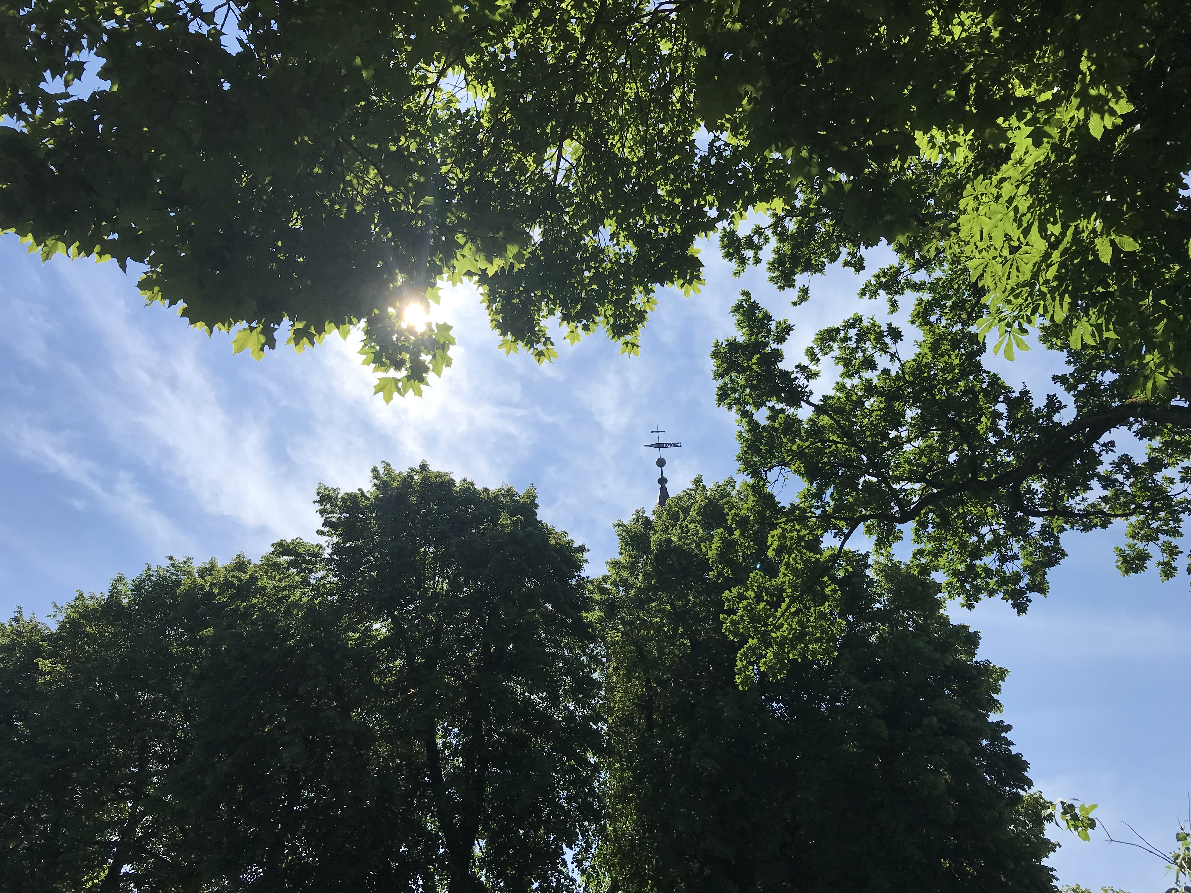 Sommergottesdienst