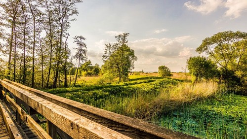 Sommerausflug in die Holsteinische Schweiz