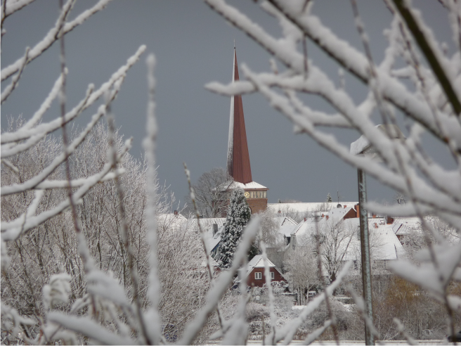 Ev.-Luth. Kirchengemeinde Wedel