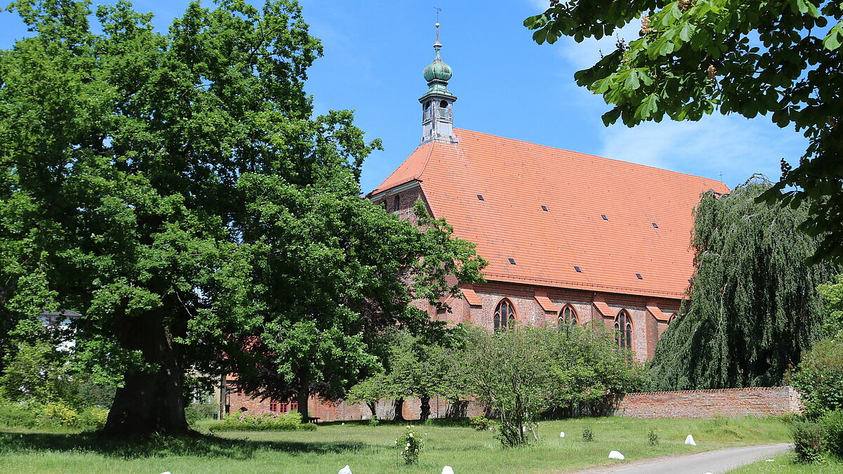 Die Kirche auf dem Klostergelände Preetz mit einer 1000jährigen Eiche