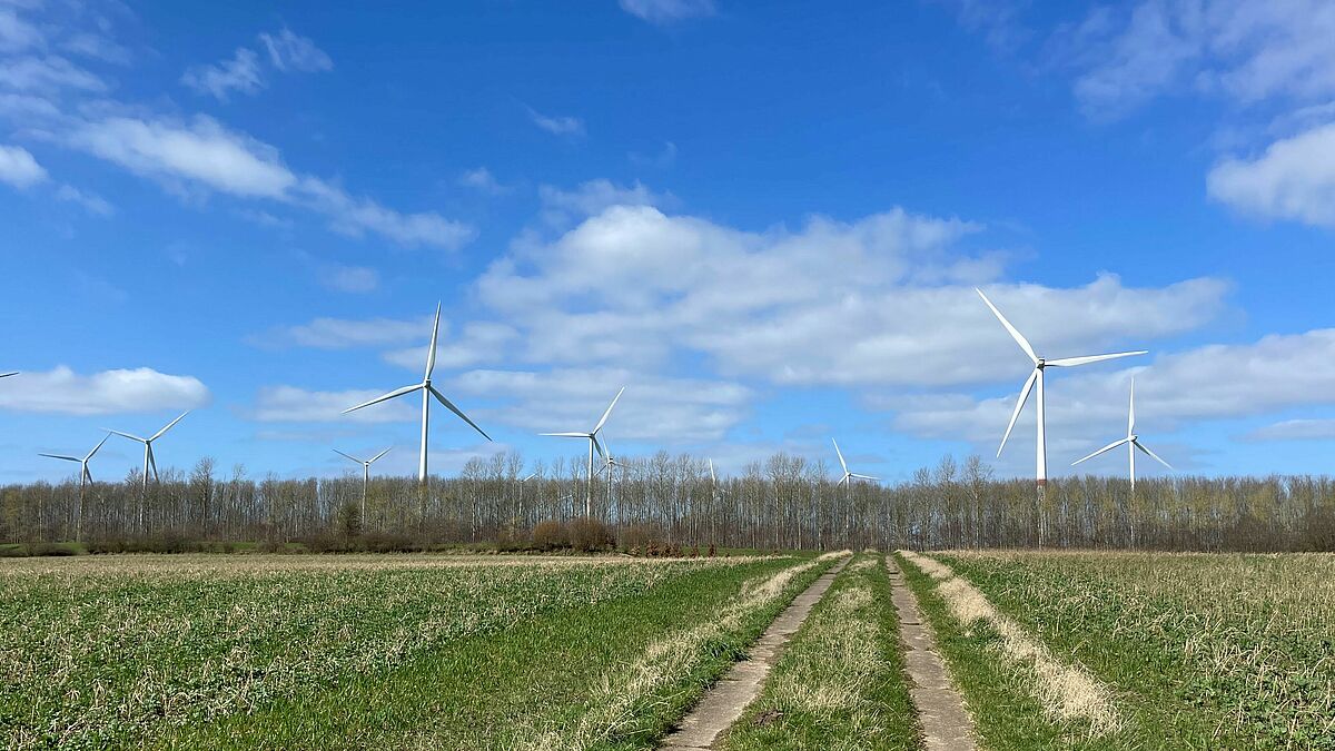 Windkrafträder auf der Geest in Schleswig-Holstein  im Frühjahr 