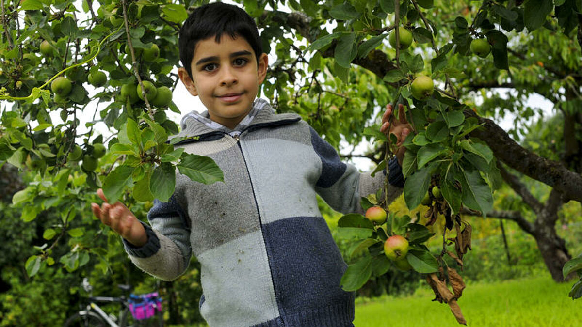 Issa (8) streift am 06.07.16 durch seinen Kleingarten im Verein "Deutsche Scholle". Er und seine Familie sind aus Syrien gefluechtet. Jetzt sind sie gluecklich, dass sie als eine der ersten in Deutschland einen Kleingarten bewirtschaften duerfen. Das Kinderhilfswerk terre des hommes hat das Modellprojekt "Querbeet" initiiert. Es will Kleingartenvereine und Fluechtlinge zusammenbringen. Die Neuankoemmlinge, die oft Schreckliches erlebt haben, koennten in ihrer eigenen kleinen Parzelle Erholung und ein Stueck Sicherheit finden, meint Projektleiterin Birgit Dittrich. Die Deutsche Bundesstiftung Umwelt unterstuetzt das Vorhaben. Siehe auch Korrespondentenbericht vom 12.07.2016.