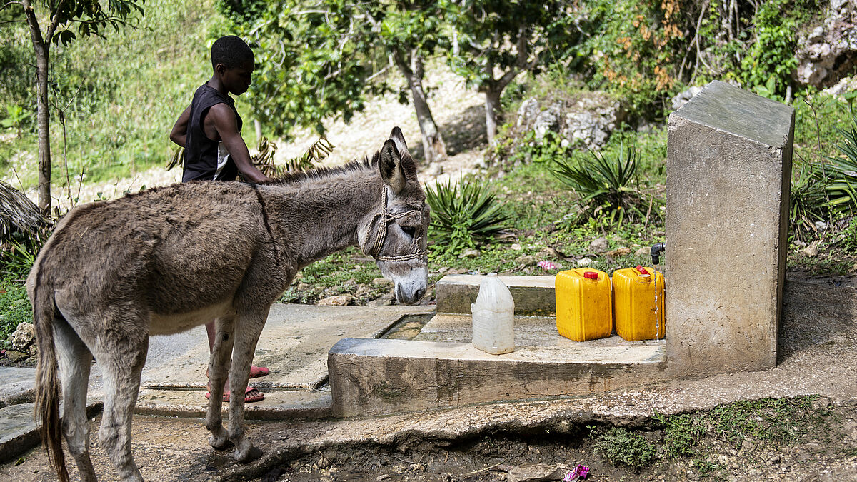 Haiti weist eine hohe Risikoanfälligkeit gegenüber Naturkatastrophen auf, die in den letzten Jahren immer wieder große Schäden in dem karibischen Inselstaat angerichtet haben. Die Diakonie Katastrophenhilfe ist mit mehreren Projekten in Haiti aktiv. Ein eigenes Projektbüro koordiniert die Hilfe im Bereich Katastrophenvorsorge und Soforthilfe sowie die Stärkung von lokalen Partnerorganisationen. 