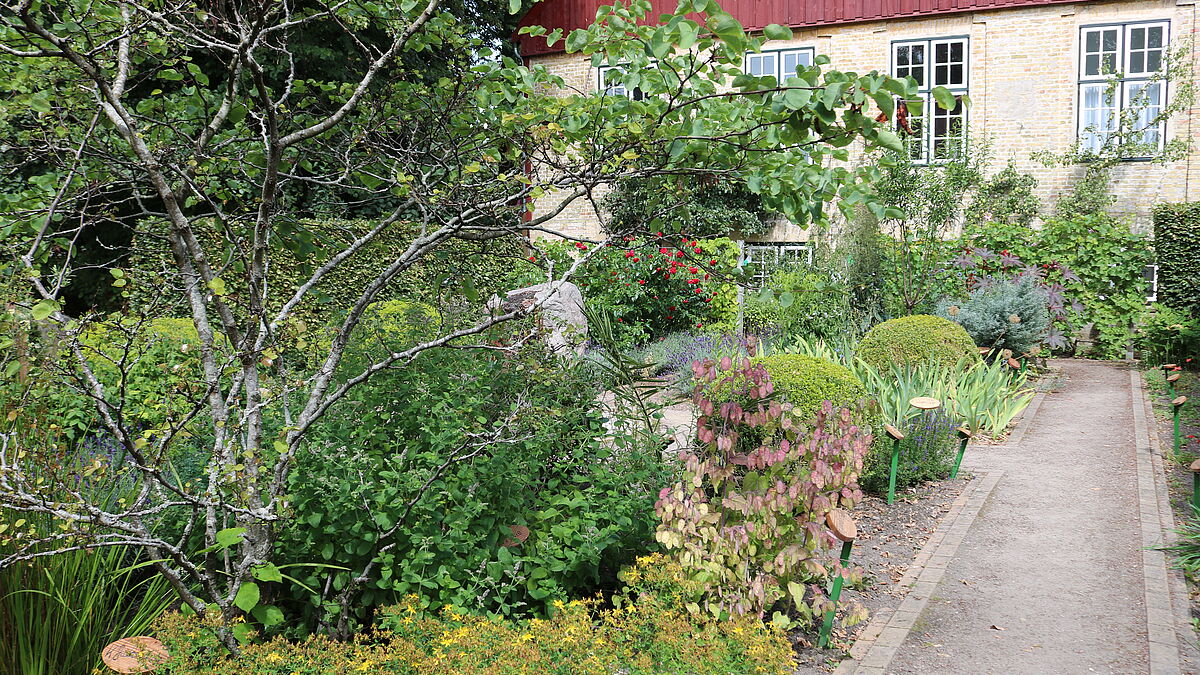 Der Bibelgarten des St. Johannisklosters ist ein idyllischer Ort. Wer mag, kann hier diesen Sommer die Ausstellung "Gottesbilder" mit den dazugehörigen Andachten genießen. 