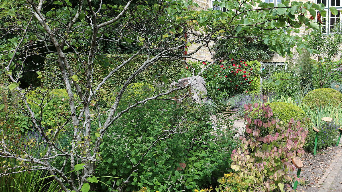 Der Blick in den Bibelgarten Schleswig: Wer zur Ruhe kommen möchte, ist in der abgeschiedenen Idylle des Gartens genau richtig. 