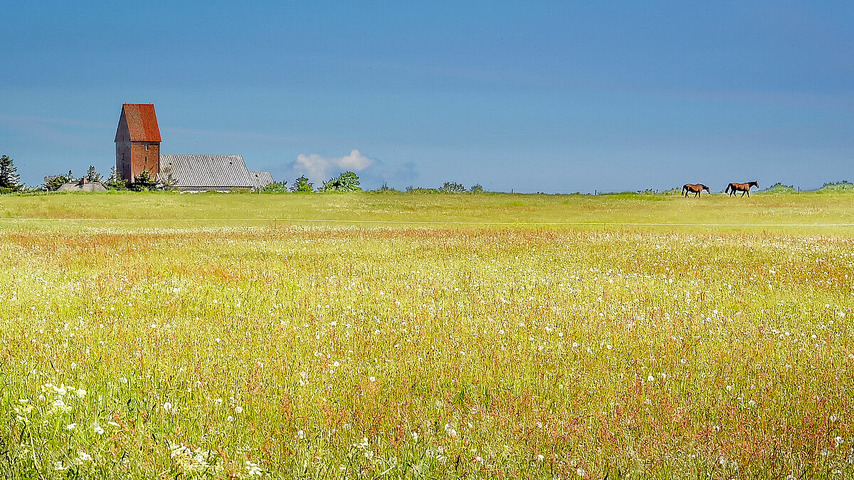 Die St. Severin-Kirche in Keitum auf der Nordseeinsel Sylt ist ein beliebter Anlaufpunkt für Touristen.