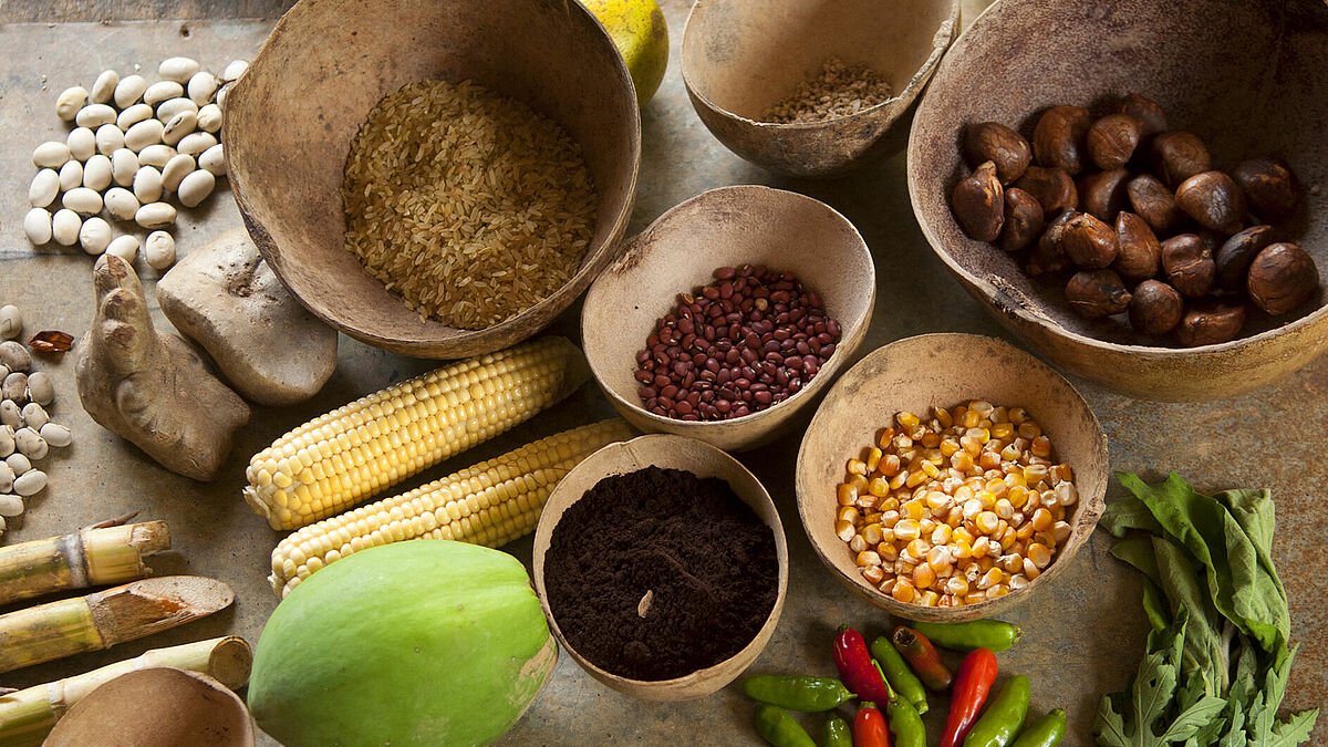 Schalen mit Feldfrüchten in Panama Landwirtschaftliche Flächen sollten für die Ernährung der Menschen vor Ort dienen. Bäuerliche Strukturen leisten das am besten. Flächen großer Konzerne produzieren zu häufig nur für den Export.