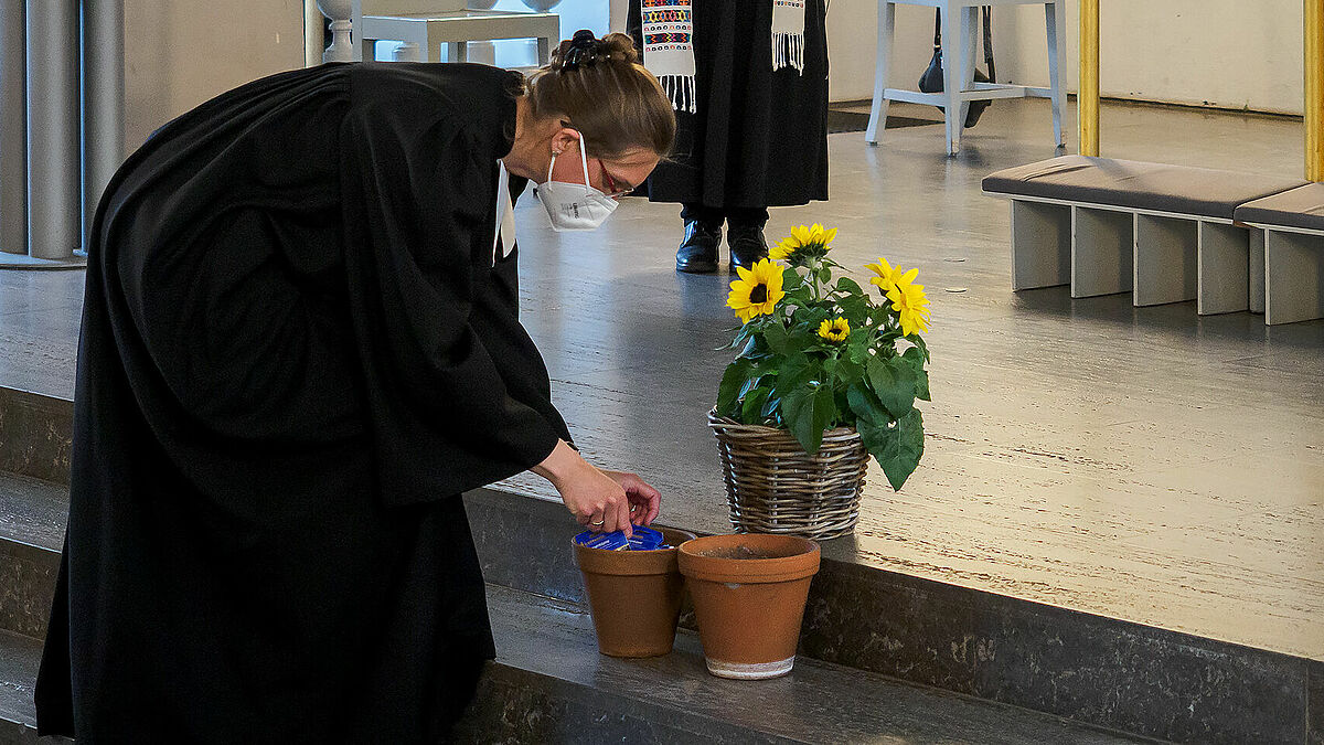 Pastorin Birke Siggelkow-Berner nimmt sich zwei Samentüten, damit bald rund um ihre Vicelinkirche in Neumünster Sonnenblumen sprießen. 