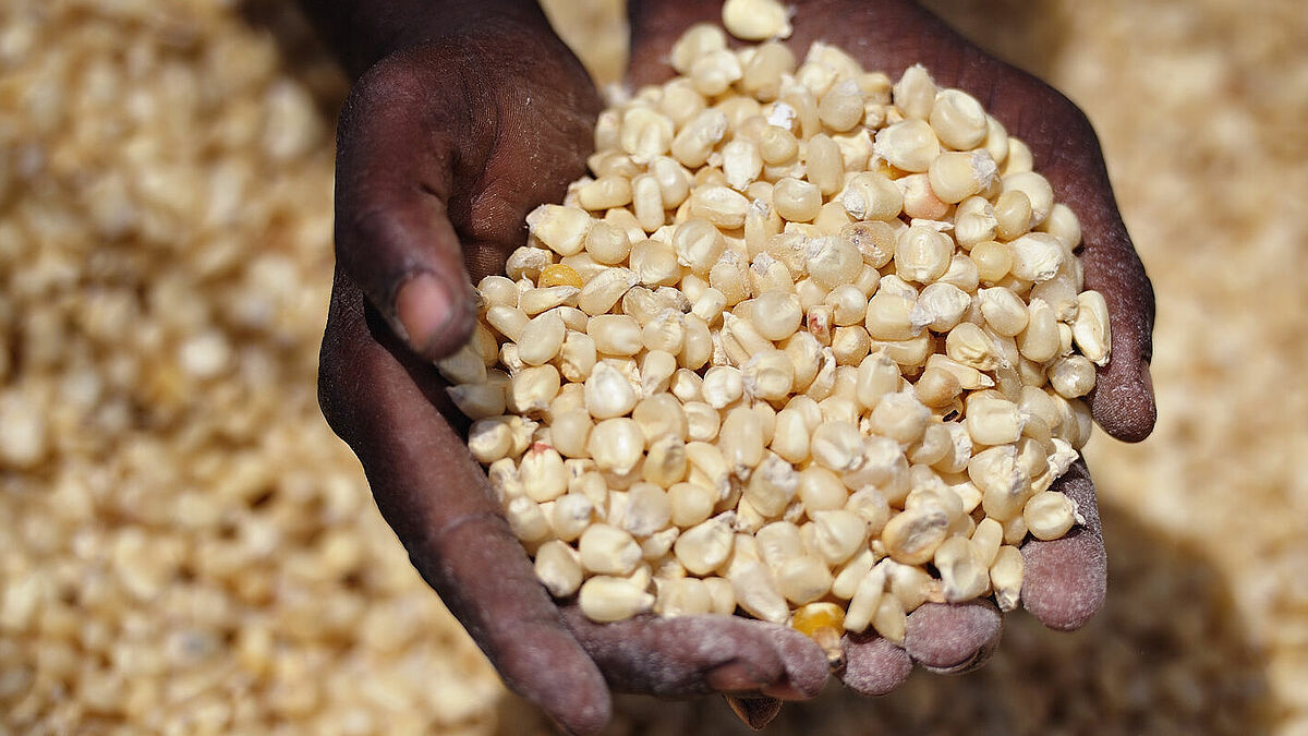 Dürren und andere Naturkatastrophen haben die Ernten vernichtet. Jetzt sind Millionen von Menschen in Ostafrika von Hunger bedroht. Die Nordkirche bittet um Spenden, um die Notleidenden durch die Diakonie Katastrophenhilfe mit Nahrungsmitteln versorgen zu können. 