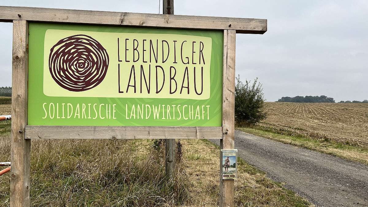 Hier geht es zum Hof von Laura und Johannes Walzer. Er versorgt mehr als 200 Mitglieder mit Gemüse, Eiern und Blumen. Die Gemüsekisten können direkt am Hof oder an 10 Ausgabestellen der Region abgeholt werden. 