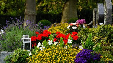 Grab mit vielen blühenden Blumen. 