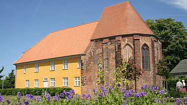 Das Gebäude des Barther Bibelzentrums leuchtet gelb in der Sommersonne, im Vordergrund blühen lila Blumen