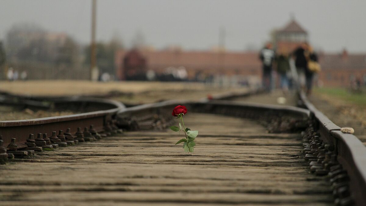 Gedenkstätte in Auschwitz-Birkenau. Mehr als eine Million Meschen wurden während der NS-Zeit hier ermordet.