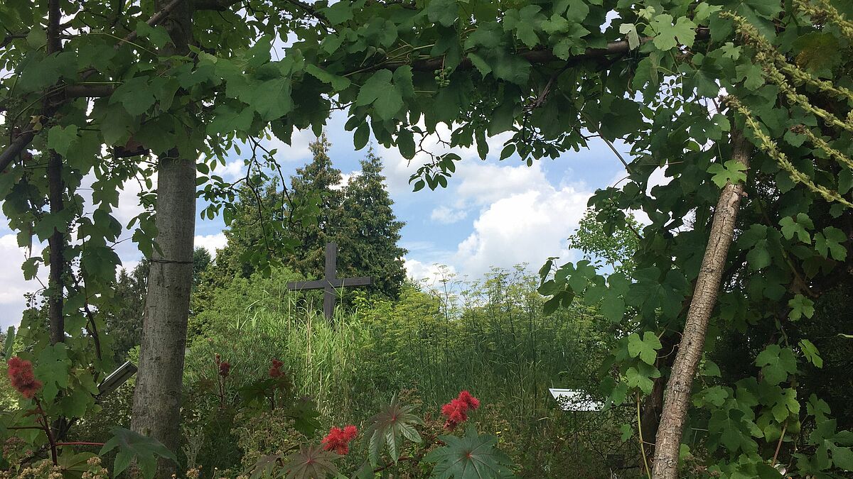 Blick in den Bibelgarten im Botanischen Garten Klein Flottbek