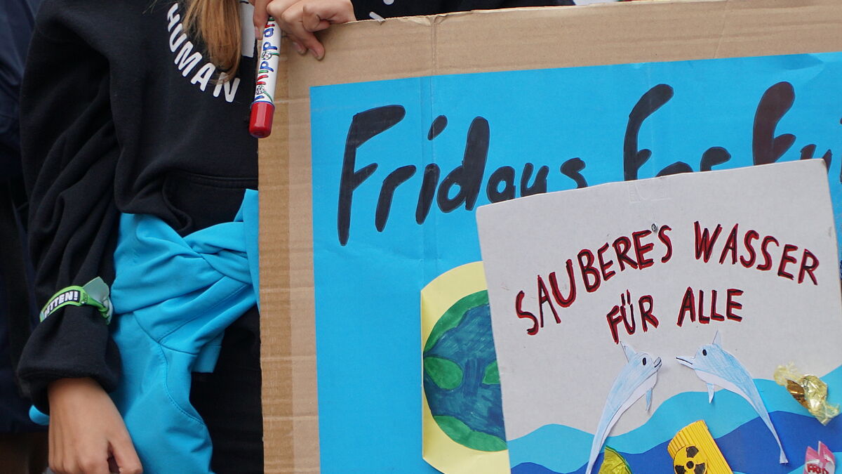 Fridays-for-Future-Plakat bei der Klimademo in Schwerin