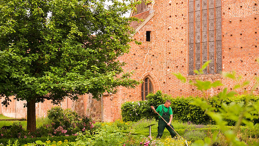 Gärtner Daniel Kruse kümmert sich mit viel Liebe um die Pflanzen im Klostergarten.