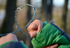 Stacheldraht und Kinderhand