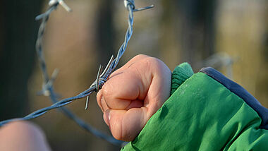 Stacheldraht und Kinderhand