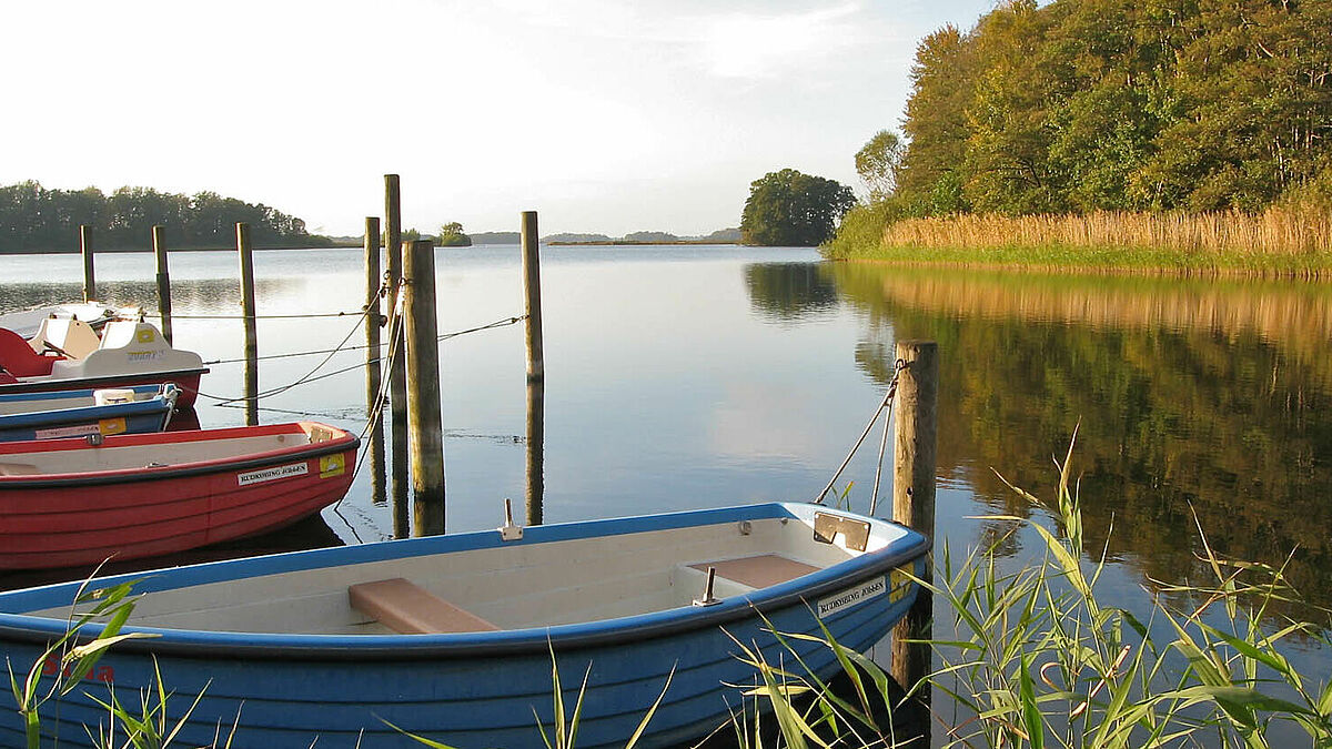 Ausblick am Mönchsweg in Bosau