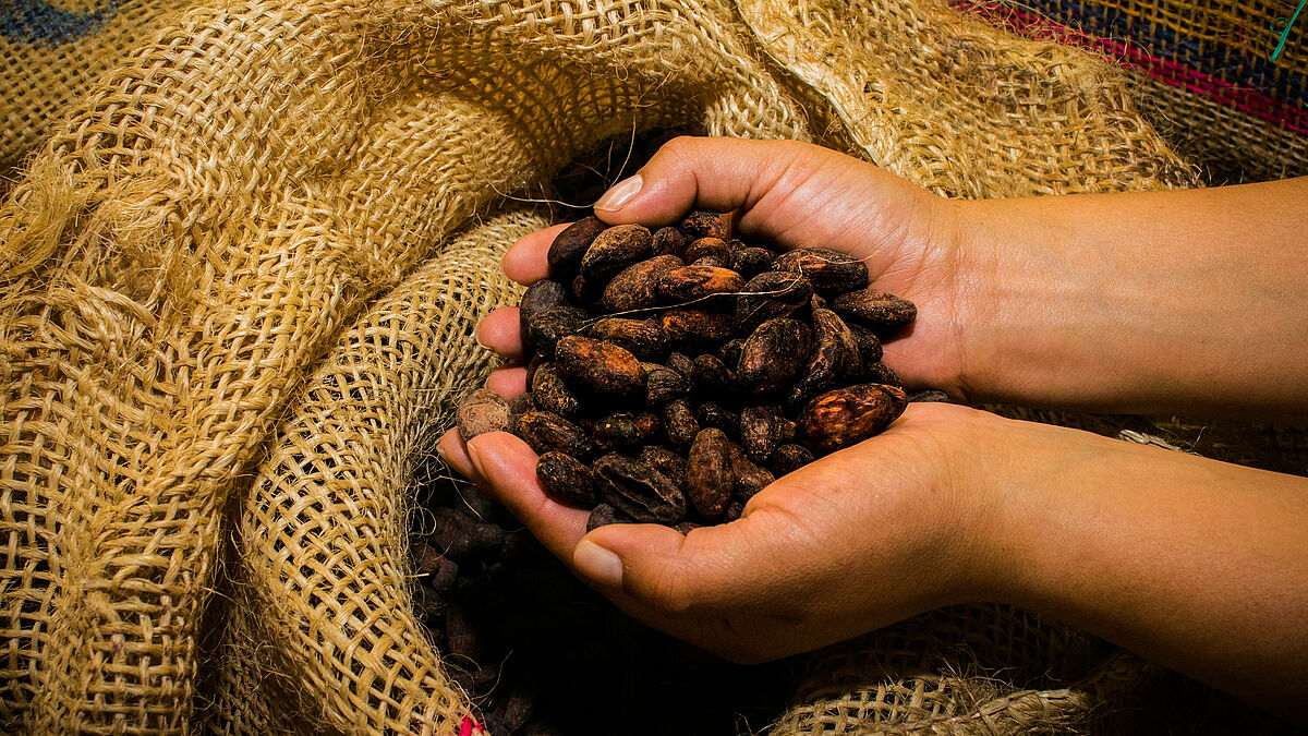 Kakao gehört zu den Produkten, bei dessen Anbau und Ernte in Westafrika laut der Initiative rund zwei Millionen Kinder unter ausbeuterischen Bedingungen auf den Plantagen arbeiten müssen (Symbolbild).