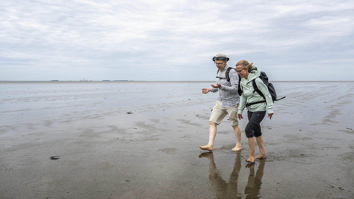 Bischof Gothart Magaard und seine Nachfolgerin, Pastorin Nora Steen, beim Pilgern durch das Wattenmeer.